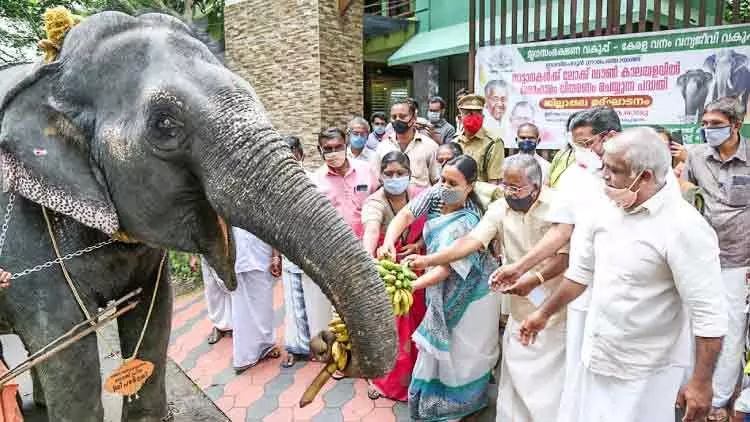 നാരായണന്‍കുട്ടി സംതൃപ്​തൻ: പ​ഴക്കുല നൽകിയത്​ മന്ത്രിതന്നെ