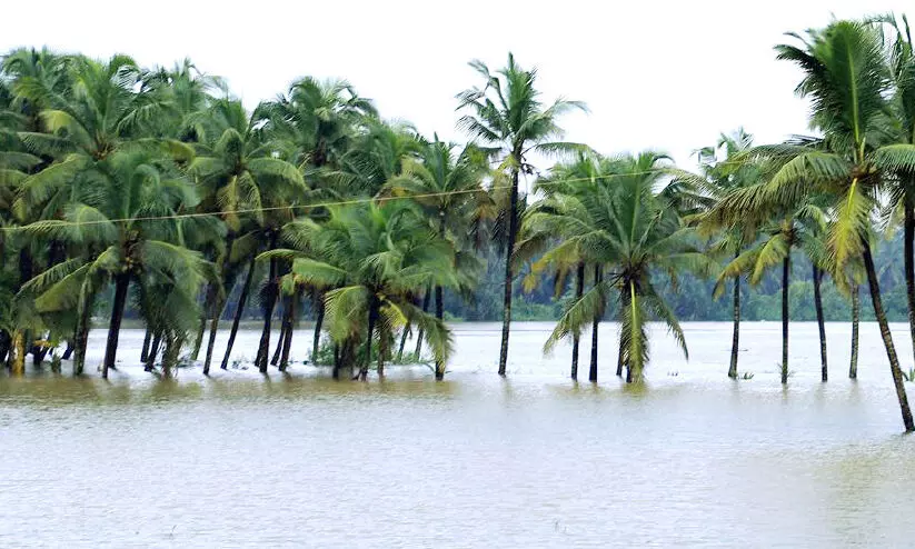 വെള്ളമിറങ്ങി: തേജസ്വിനിക്കരയിലെ ആശങ്കയൊഴിഞ്ഞു