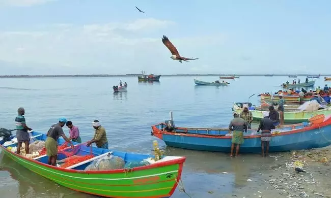 സംസ്ഥാനത്ത് നാളെ മുതൽ മത്സ്യബന്ധനത്തിന് അനുമതി