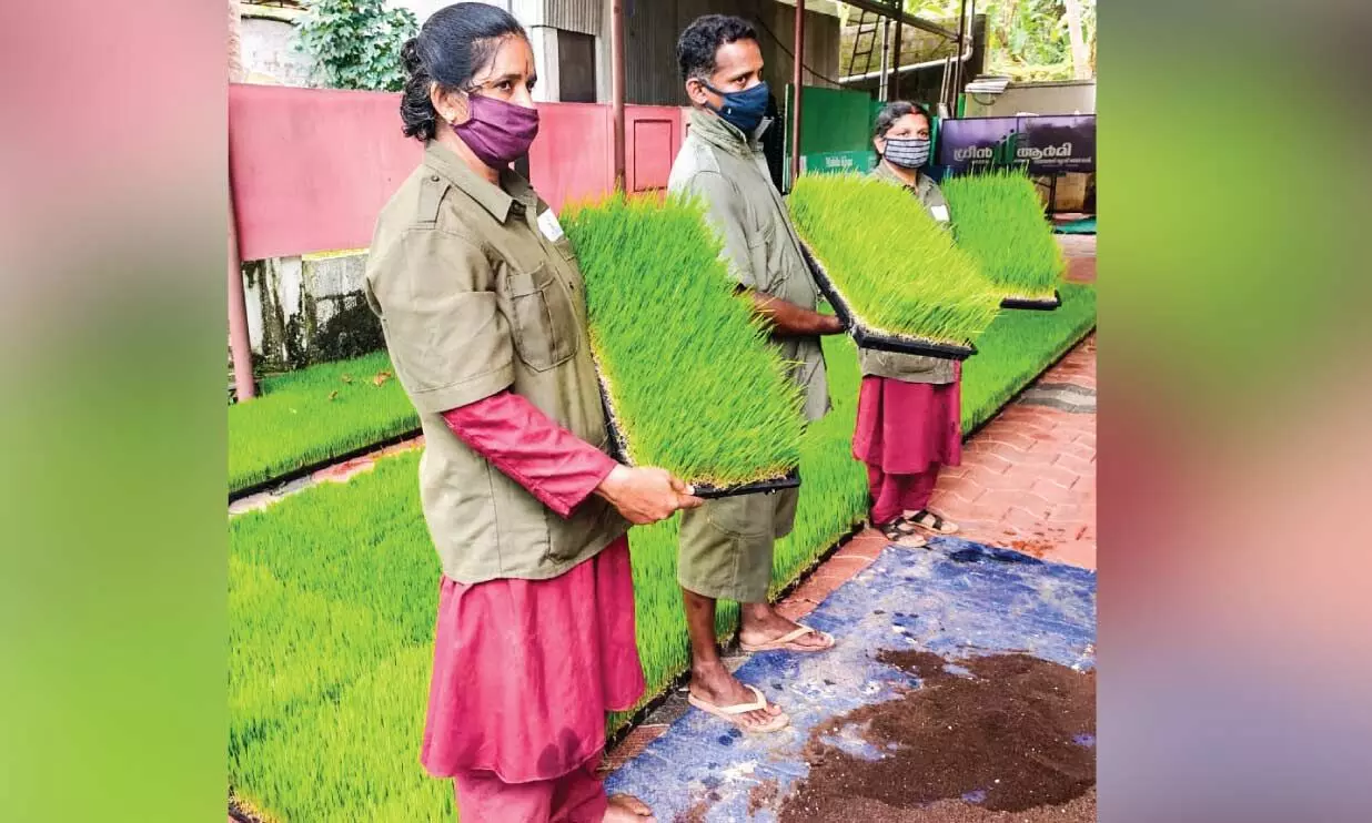 കാർഷിക വിപ്ലവം തീർത്ത് ഗ്രീൻ ആർമി