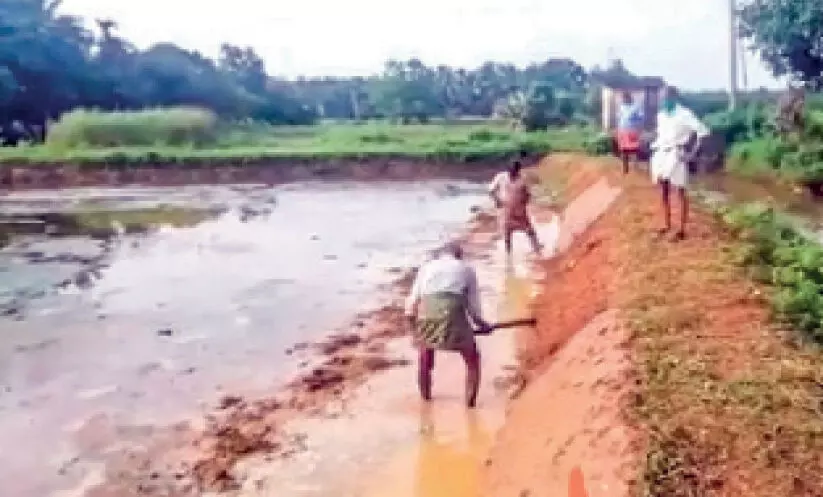 പാടത്ത്​ രണ്ടാംവിളക്കുള്ള തയാറെടുപ്പ്​