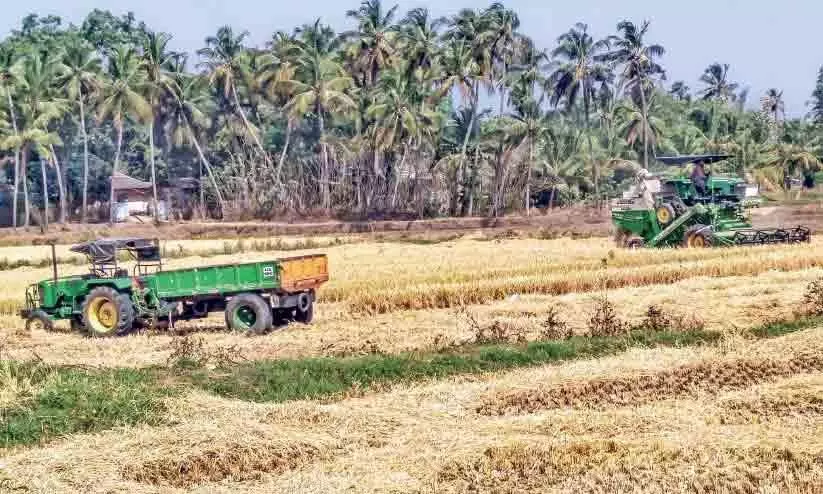 പാലക്കാട്ട് കൊയ്​ത്താരവം