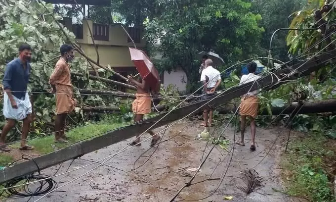 വരന്തരപ്പിള്ളി മേഖലയിൽ ചുഴലിക്കാറ്റ് ; വ്യാപക നാശ നഷ്ടം