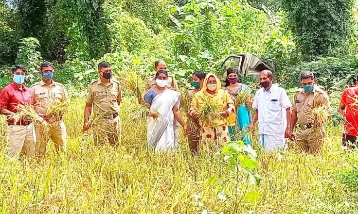 കോവിഡ്​ കാലത്ത്​ കൃഷിയിൽ മികച്ച വിളവുമായി പൊലീസ്