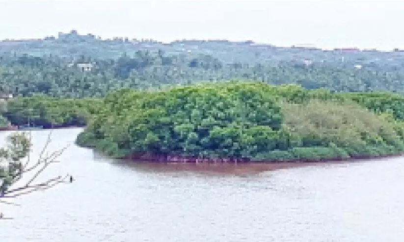 വിനോദസഞ്ചാര സാധ്യത തേടി മൊഗ്രാൽ പുഴയോരവും കടലോരവും