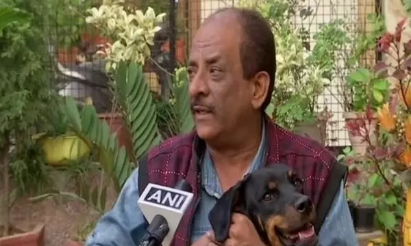 Pet owners in Chandigarh happy about firecracker ban during Diwali