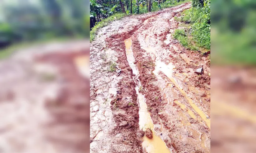 വഴിയുണ്ടേൽ വോട്ടുണ്ട്​; പ്ര​തി​ഷേ​ധ​വു​മാ​യി എ​ട​ത്തി​ൽ കോ​ള​നി​വാ​സി​ക​ൾ