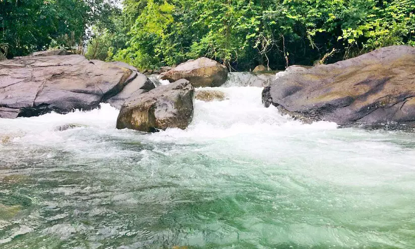 വെള്ളപ്പൊക്കം തടയാൻ ചെമ്പുകടവ് പുഴയിലെ പാറകൾ പൊട്ടിച്ചുമാറ്റുന്നു; എതിർപ്പുമായി പ​രി​സ്ഥി​തി പ്ര​വ​ർ​ത്ത​ക​ർ