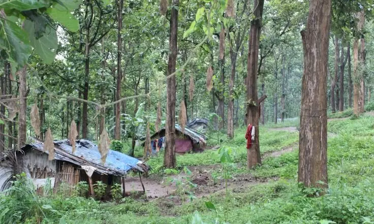 കുടിയൊഴിപ്പിക്കപ്പെട്ട ആദിവാസികൾക്ക്​ നൽകിയ ഭൂമി കൈയടക്കിയവർക്കെതിരെ നടപടി എടുക്കണമെന്ന്​ ഹൈകോടതി