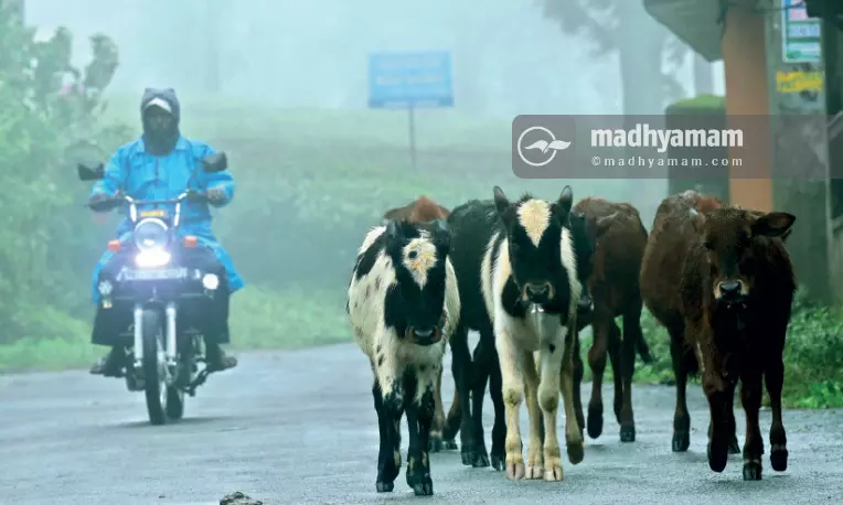 യാ​ത്ര​പോ​കാം...​ ക​രു​ത​ലോ​ടെ...