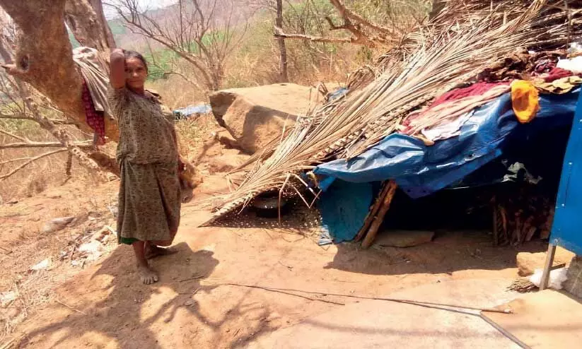 പാണമ്പി കോളനിയിലേക്ക് ഇനിയെങ്കിലും പഞ്ചായത്തിെൻറ കണ്ണെത്തുമോ‍?