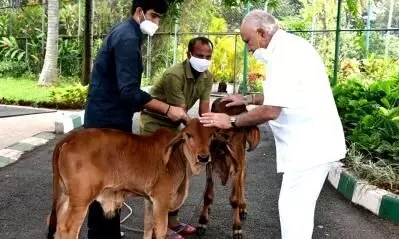 കർണാടകയിൽ ഗോവധ നിരോധന-കന്നുകാലി സംരക്ഷണ ബിൽ ഒാർഡിനൻസിലൂടെ പാസാക്കി