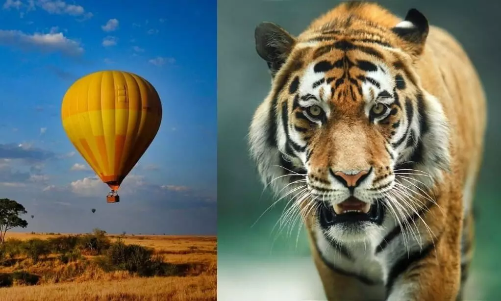 bandhavgarh tiger reserve hot air balloon