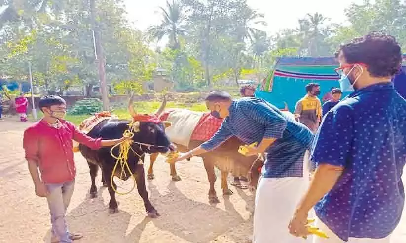 vayathoor ooottu mahothsavam, arrangement started