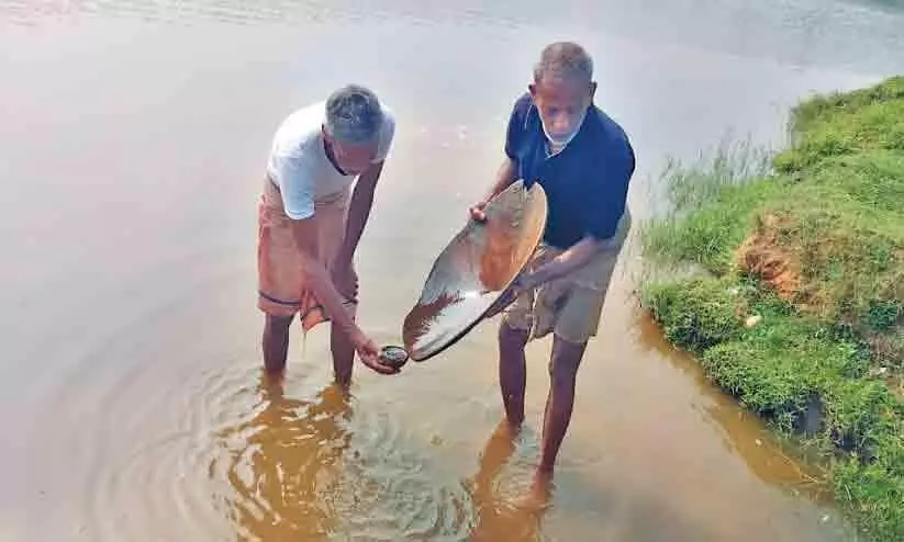 gold filtering from sand