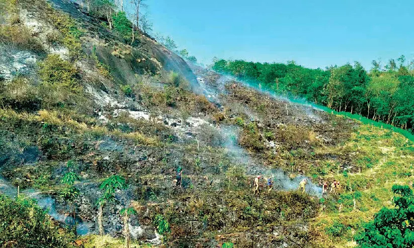 Adyanpara rubber plantation