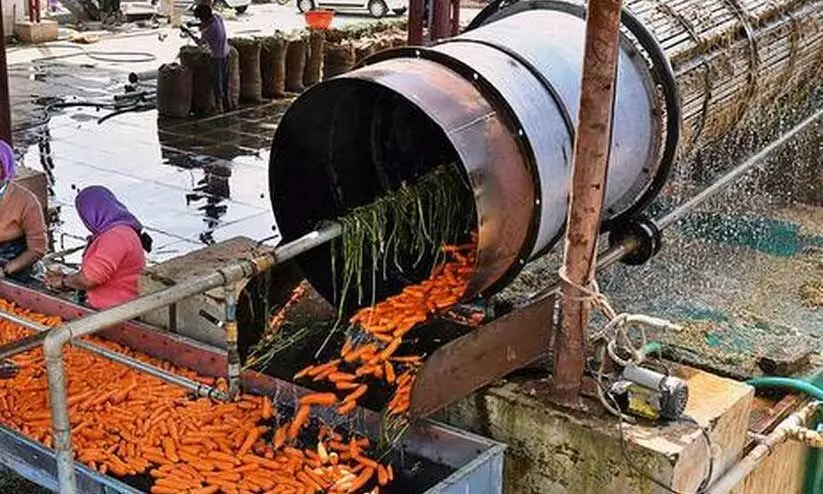 മ​ലി​ന​ജ​ലം ജ​ല​േ​സ്രാ​ത​സ്സു​ക​ളി​ലേ​ക്ക്​; കാ​ര​റ്റ് ക​ഴു​കു​ന്ന യ​ന്ത്ര​ങ്ങ​ൾ​ സീ​ൽ​വെ​ച്ചു