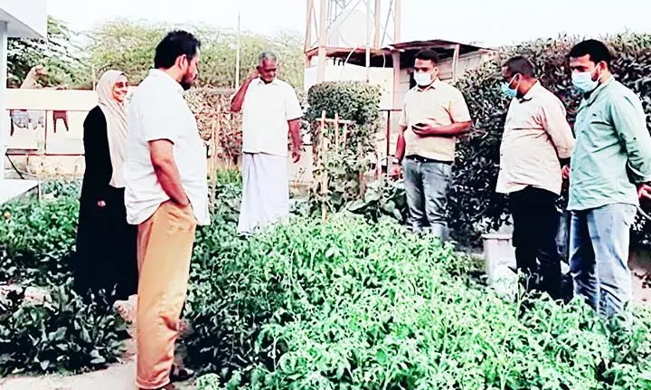 ഫാം​വി​ല്ല ര​ണ്ടാം​ഘ​ട്ട പ​ര്യ​ട​നം പൂ​ർ​ത്തി​യാ​ക്കി