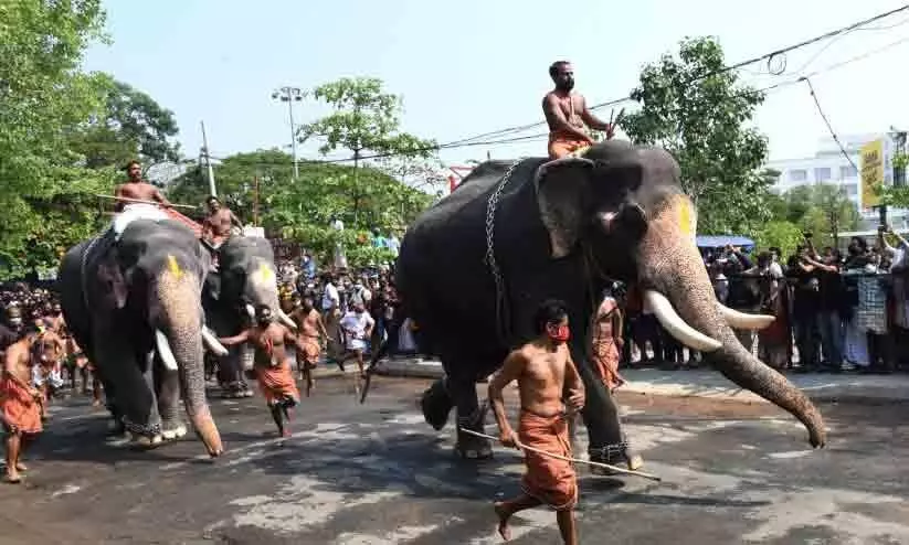 Elephant Race: Gopikrishnan wins