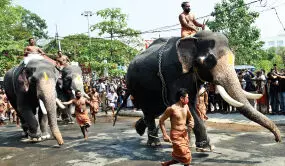 Guruvayur Elephant Race