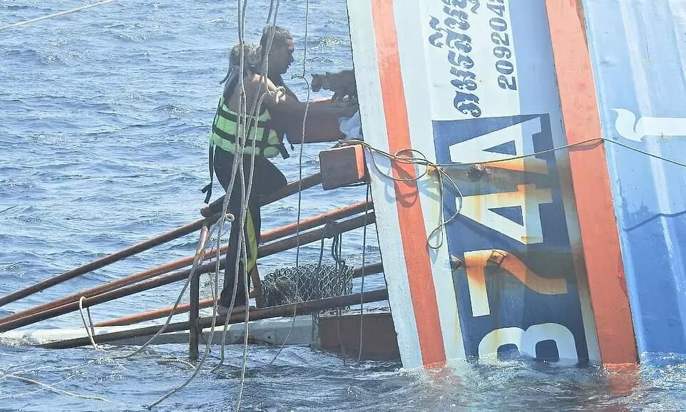 Thai navy rescue four cats from burning ship