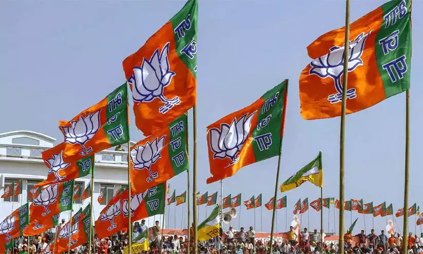 bjp flag