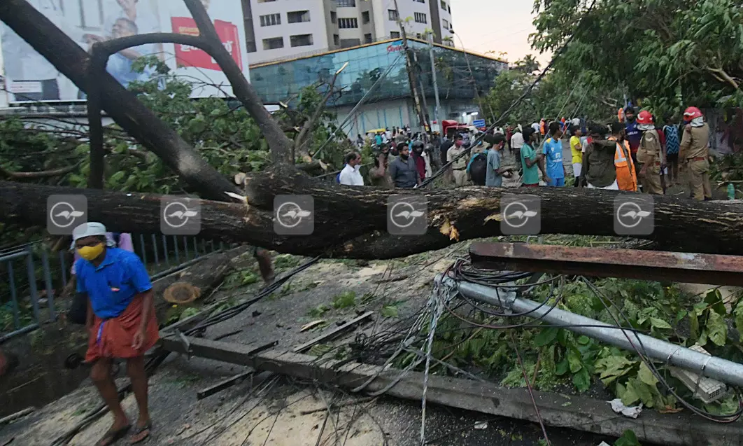 കൊച്ചിയിൽ ശക്തമായ കാറ്റും മഴയും; വ്യാപക നാശനഷ്​ടം, മരങ്ങൾ വീണ്​ വാഹനങ്ങൾ തകർന്നു