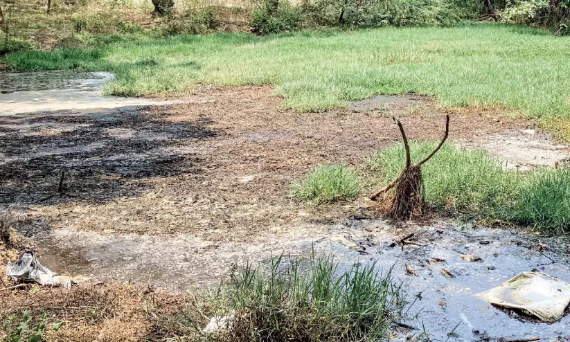 നഗരസഭ അറവുശാല മാലിന്യപ്രശ്നം: നാട്ടുകാർ പ്രക്ഷോഭത്തിന്