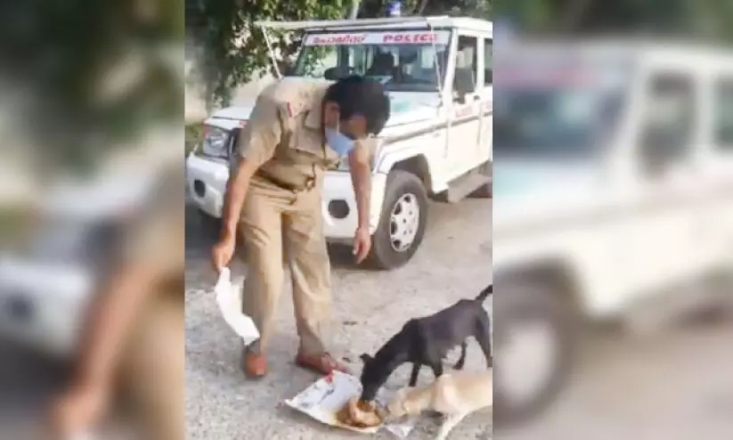 വിശന്നുവലഞ്ഞ നായ്​ക്കൾക്ക്​ ആഹാരമെത്തിച്ച്​ നിയമപാലകൻ