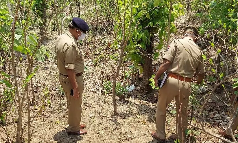 Police Searching in the Forest