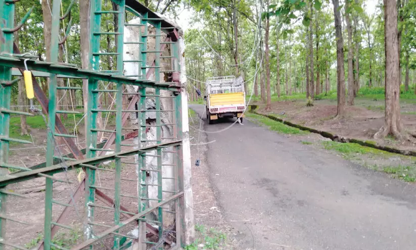 palakkolli forest side gate collapsed