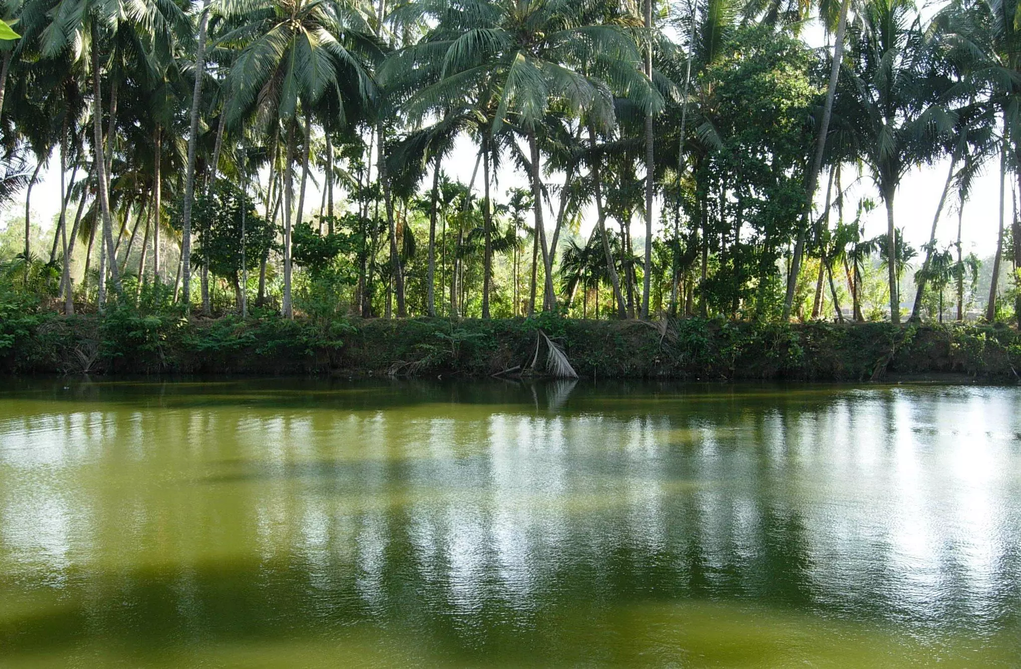 കൂട്ടമായി കുളിക്കാനിറങ്ങി; ​​പൊലീസിന്‍റെ വക  13,000 രൂ​പ പി​ഴ സമ്മാനം