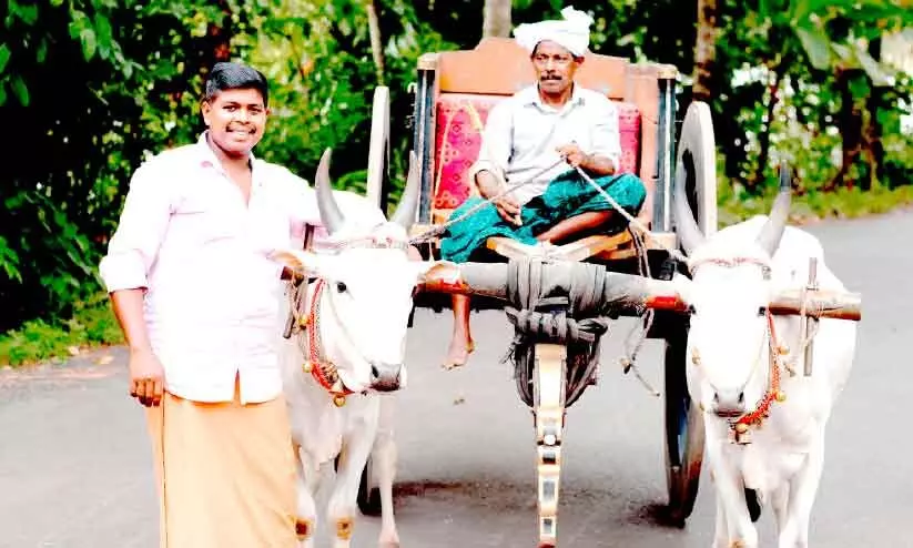 ഇത്തിത്താനത്ത്​ കാളവണ്ടിയുഗം തുടരും