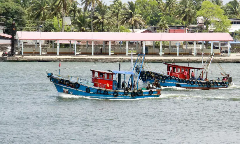 ക​രി​ക്കാ​ടി​യും പൂ​വാ​ല​നു​മാ​യി ചെറു ബോ​ട്ടു​ക​ൾ എത്തിത്തുടങ്ങി