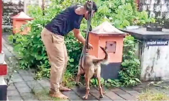 ആരാധനാലയങ്ങള്‍ കേന്ദ്രീകരിച്ച്​ വ്യാപക മോഷണം: എ​ട​ക്ക​ര ദു​ര്‍ഗ ഭ​ഗ​വ​തി ക്ഷേ​ത്ര​ത്തി​ല്‍ നിന്ന്​ സ്വ​ര്‍ണ​വും പ​ണ​വും ക​ള​വു​പോ​യി