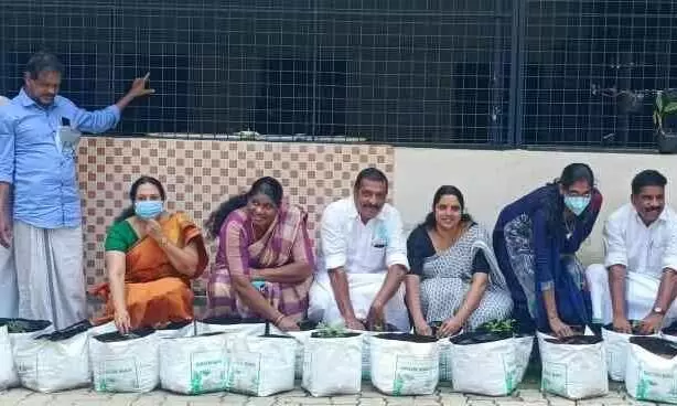 Choornikkara Panchayath Vegetable Farming