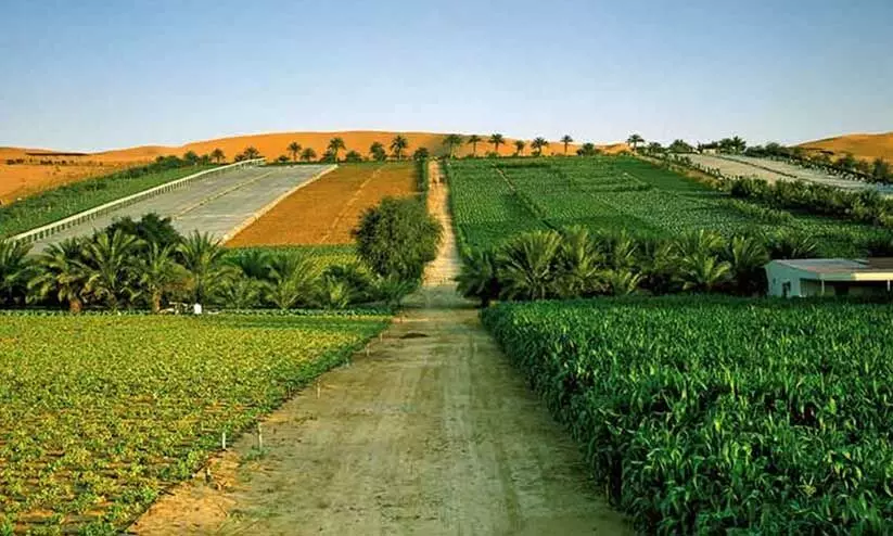 കാർഷിക മേഖലയിൽ വൻ കുതിപ്പിനൊരുങ്ങി ഷാർജ