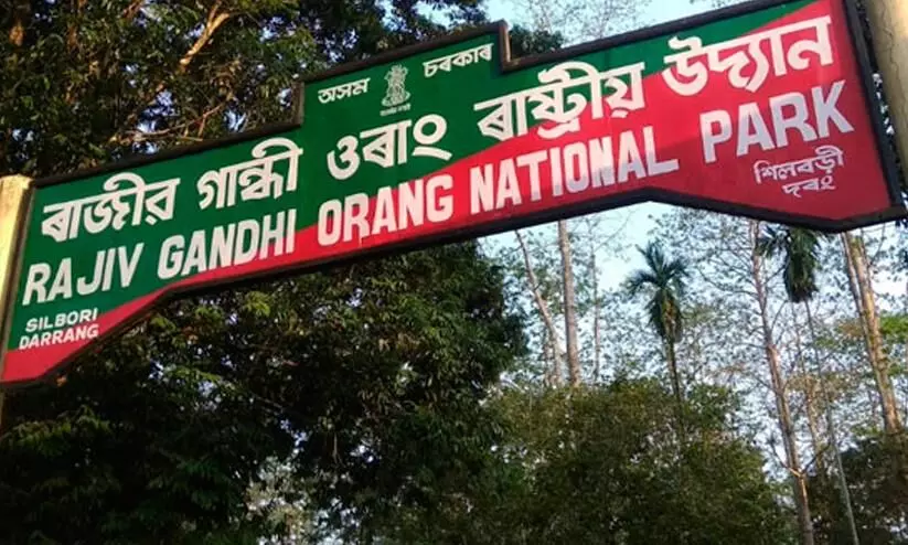Rajiv Gandhi national park