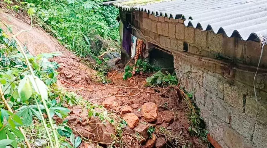 മഴ: തെന്മലയിൽ വ്യാപക നാശം