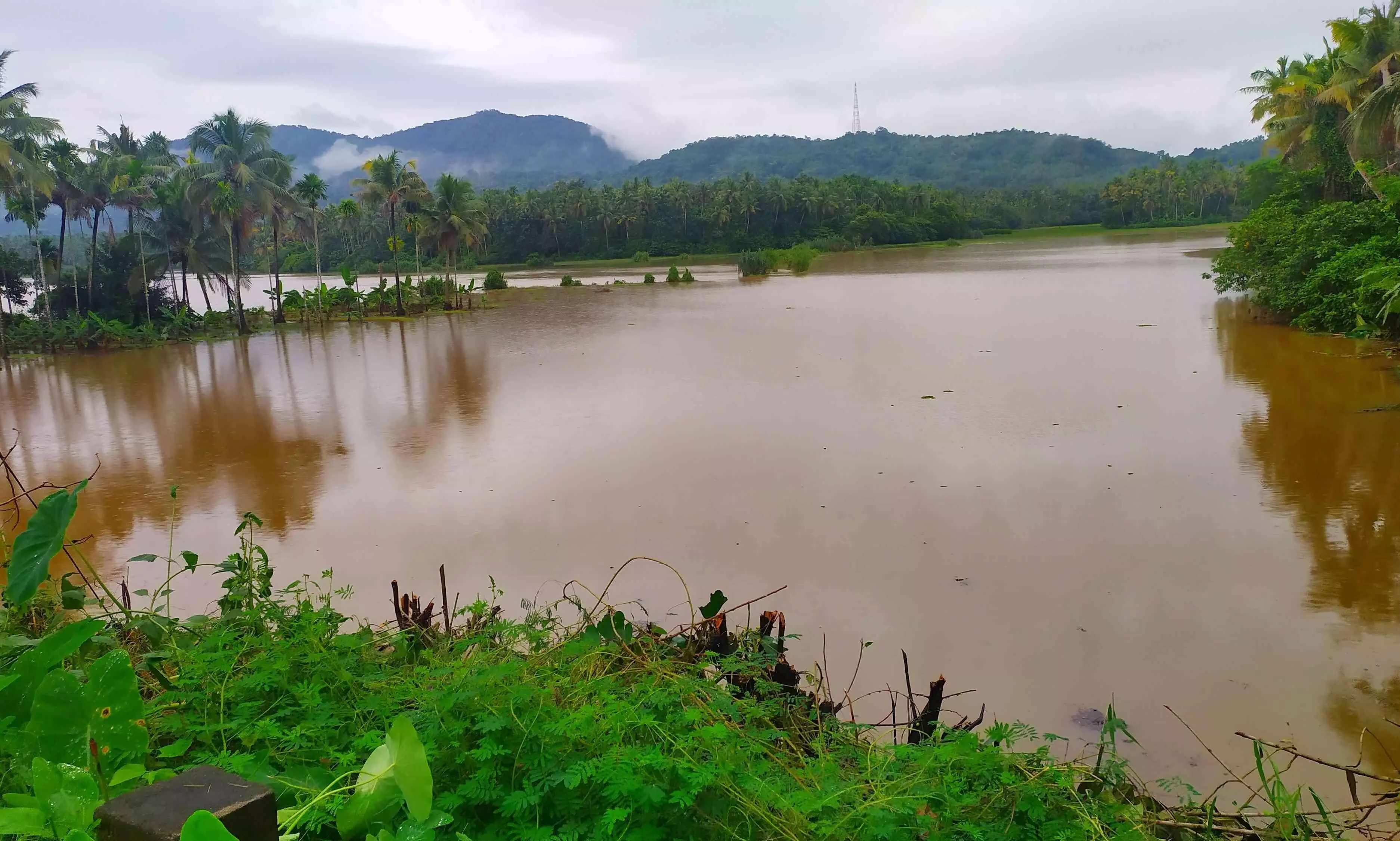 Vasupuram field