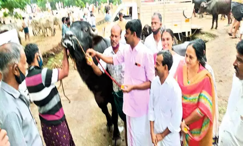 ഒരുവർഷത്തെ ഇടവേളക്കുശേഷം എ​ട​ക്ക​ര കാ​ലി​ച്ച​ന്ത തു​റ​ന്നു