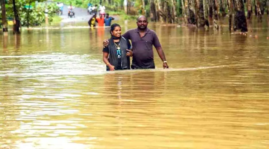 മലയോര ഗ്രാമങ്ങളിലും വനമേഖലയിലും വ്യാപക നാശം