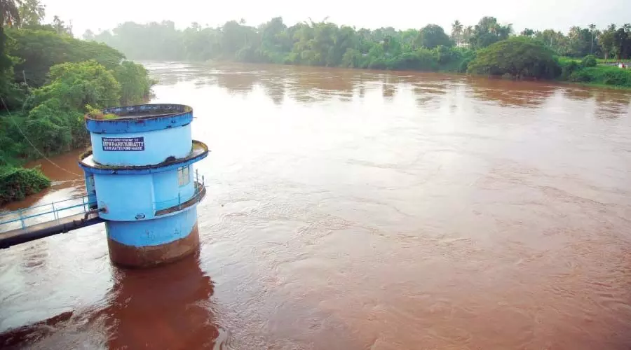 തൃ​ശൂ​രിൽ വ്യാ​പ​ക കൃ​ഷി​നാ​ശം, താ​ഴ്​​ന്ന പ്ര​ദേ​ശ​ങ്ങ​ളി​ലെ വെ​ള്ള​ക്കെ​ട്ട്​ ഒ​ഴി​ഞ്ഞി​ല്ല