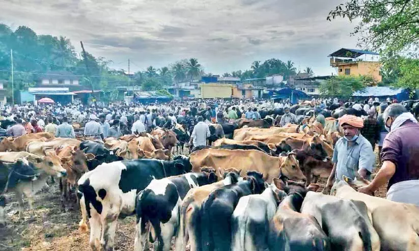 vaniyamkulam market