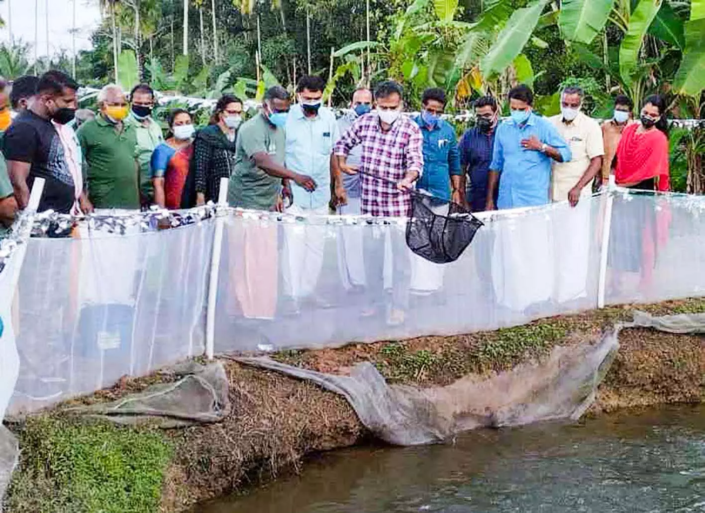 മൂന്നാംഘട്ട മത്സ്യകൃഷിയിറക്കി ഒക്കല്‍ സര്‍വിസ് സഹകരണ ബാങ്ക്