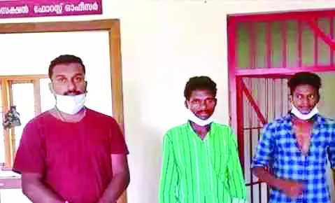 മാനിറച്ചിയുമായി യുവാക്കൾ പിടിയില്‍