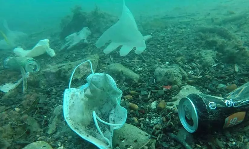 Plastic Waste in Sea