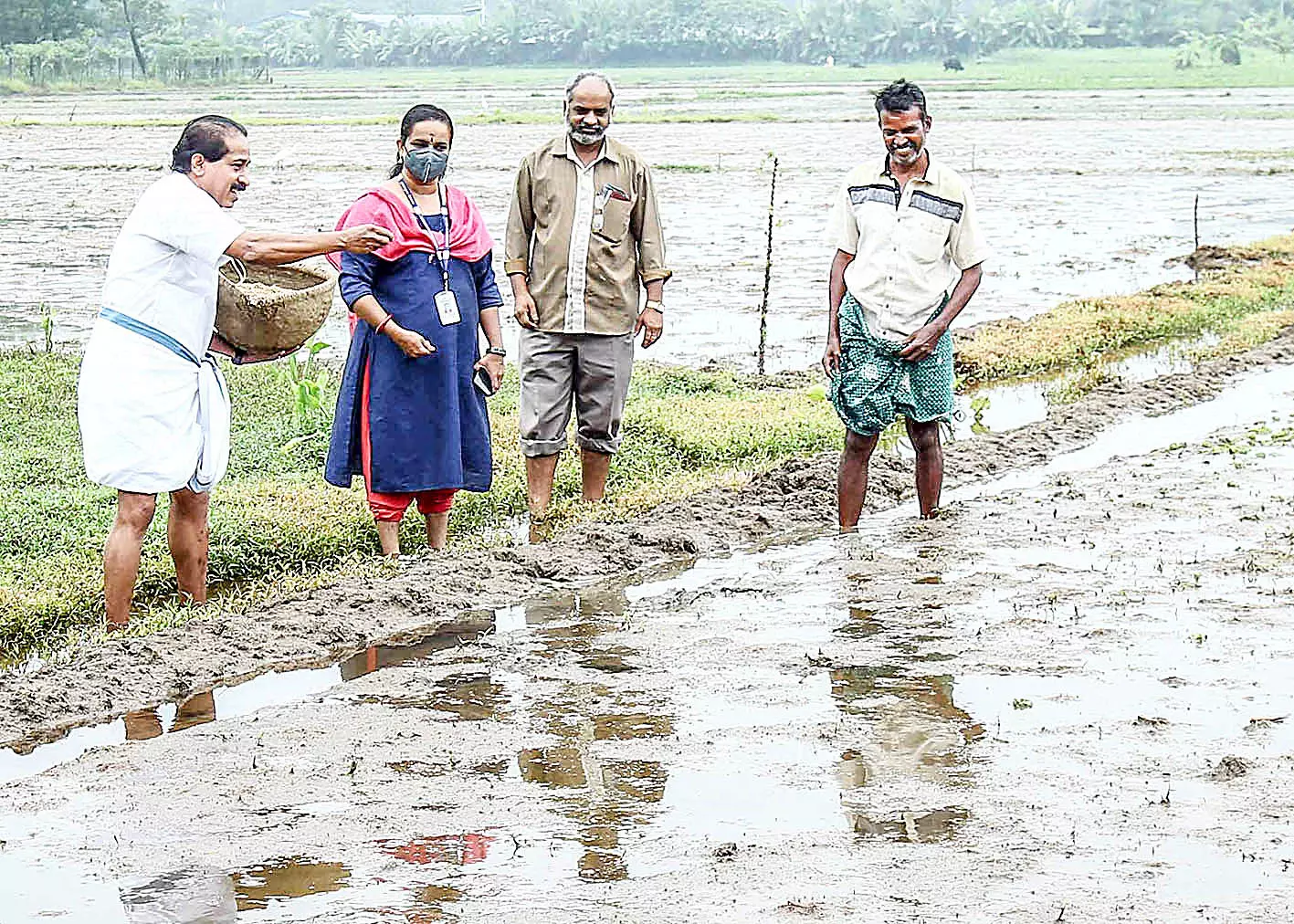 കാലടിയില്‍ നെല്‍കൃഷി വിത്തിടല്‍