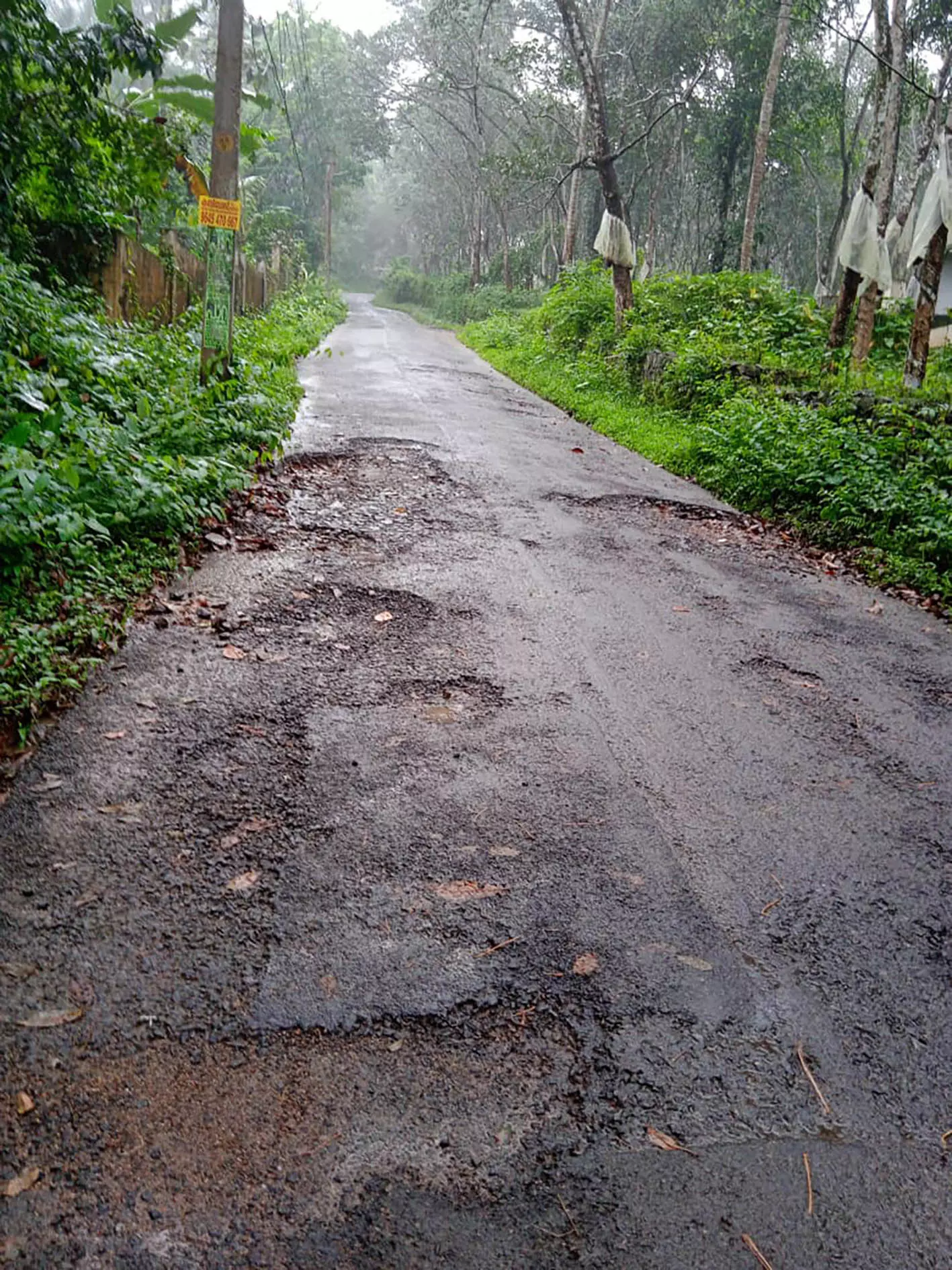 പൊൻകുന്നം -കപ്പാട് റോഡിൽ യാത്ര ദുഷ്കരം