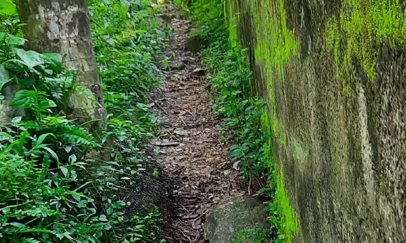 ഈ മനുഷ്യർക്ക്​ വീ​ടു​ക​ളി​ലെ​ത്താ​ൻ വ​ഴി കാ​ണി​ച്ചു കൊ​ടു​ക്കാ​മോ